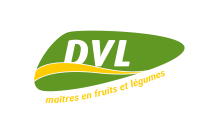 DVL logo