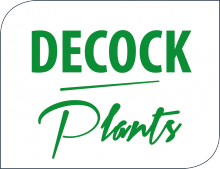 DECOCK PLANTS
